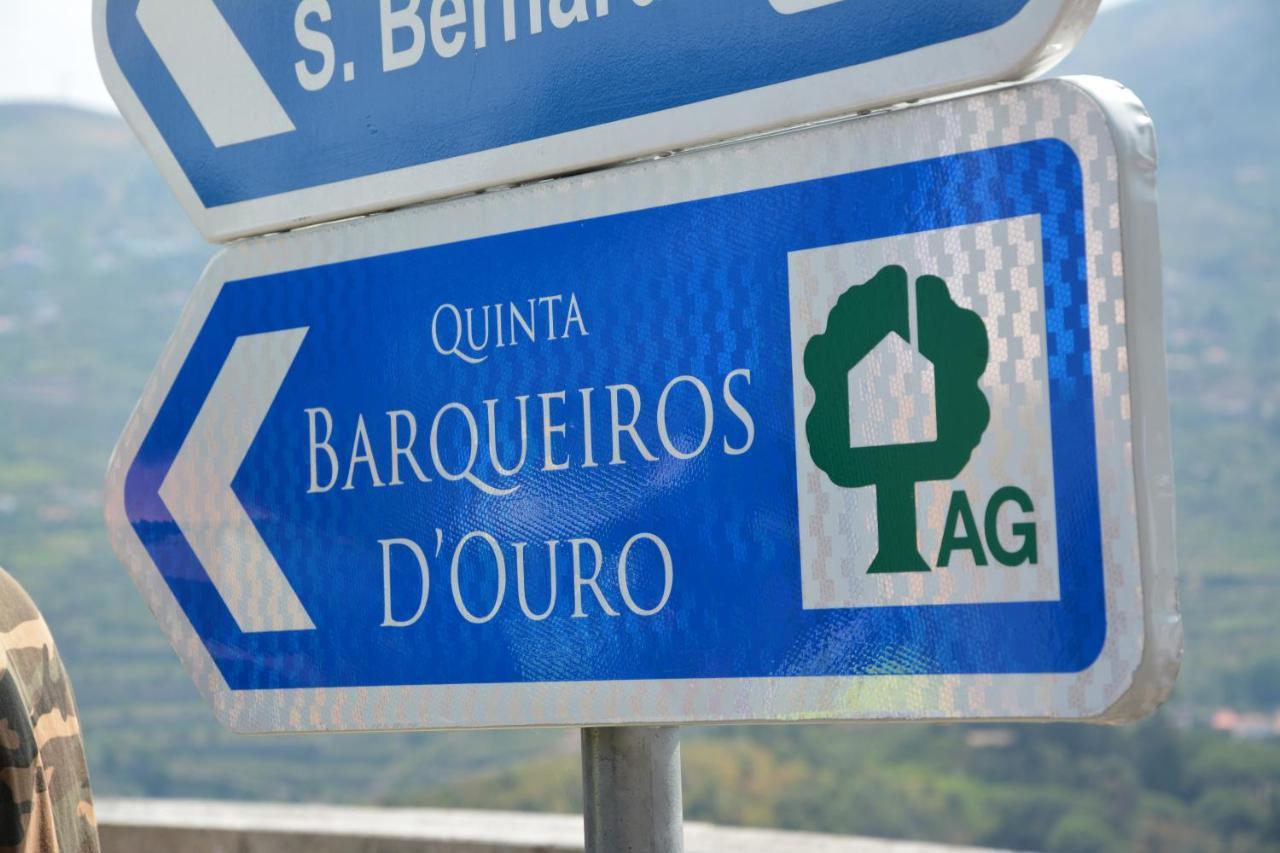 Villa Quinta Barqueiros D'Ouro - Casa Da Musica Mesão Frio Esterno foto